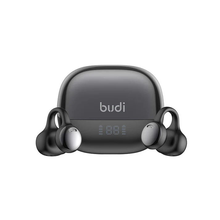 Budi - Buds Pro